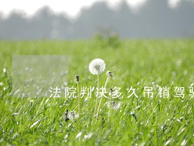 法院判决多久吊销驾驶证 法院判决多久吊销驾驶证