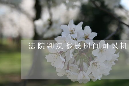 法院判决多长时间可以执行