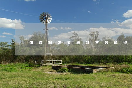 法院判决夫妻双方各承担一半债务 法院判决夫妻双方各承担一半债务