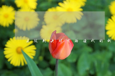 法院判决对方赔偿我的钱 法院判决对方赔偿我的钱