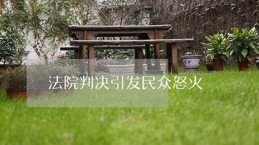 法院判决引发民众怒火 法院判决引发民众怒火