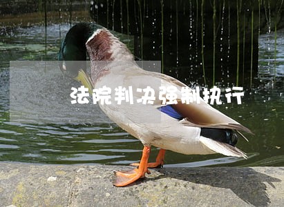 法院判决强制执行 法院判决强制执行