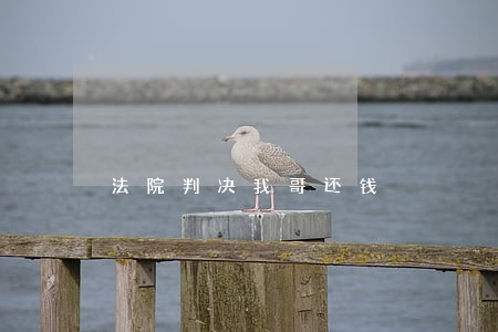 法院判决我哥还钱 法院判决我哥还钱