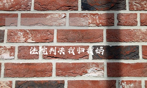 法院判决我归我妈