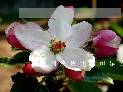 法院判决我还钱可是我现在没钱了 法院判决我还钱可是我现在没钱了