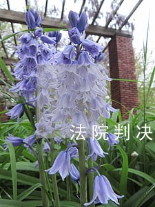 法院判决房产赠与如何撤销