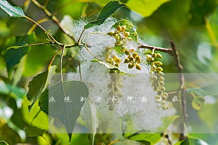 法院判决扣押物没收 法院判决扣押物没收