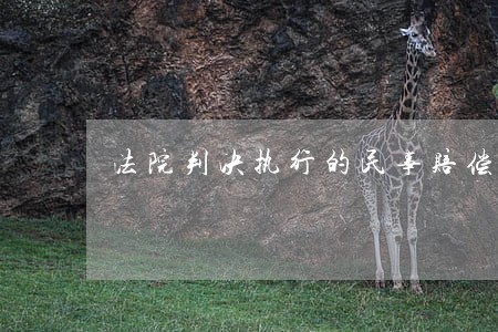 法院判决执行的民事赔偿 法院判决执行的民事赔偿