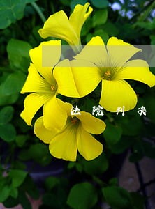 法院判决执行费标准是多少 法院判决执行费标准是多少