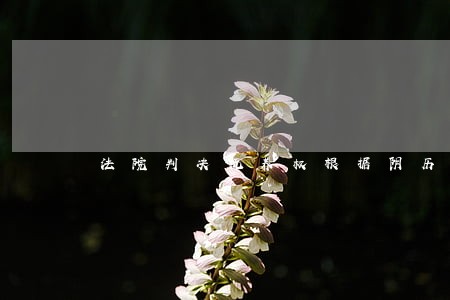 法院判决抚养权根据阴历阳历