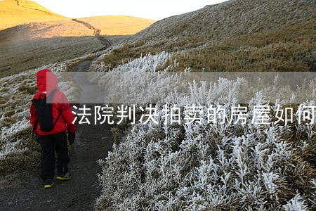 法院判决拍卖的房屋如何过户 法院判决拍卖的房屋如何过户