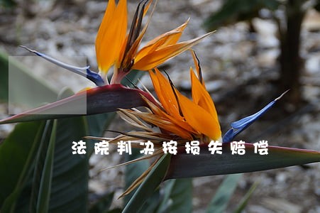 法院判决按损失赔偿 法院判决按损失赔偿