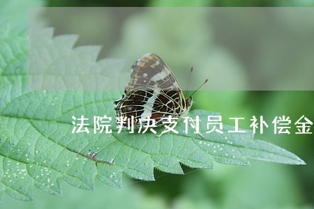 法院判决支付员工补偿金分录 法院判决支付员工补偿金分录