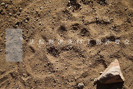 法院判决支付工资还要交税吗 法院判决支付工资还要交税吗