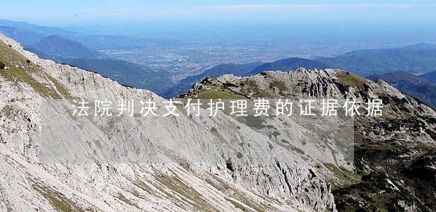 法院判决支付护理费的证据依据 法院判决支付护理费的证据依据