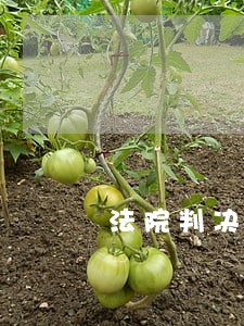 法院判决无法执行如何入账 法院判决无法执行如何入账