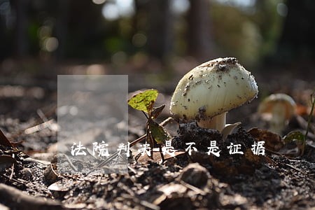 法院判决是不是证据 法院判决是不是证据