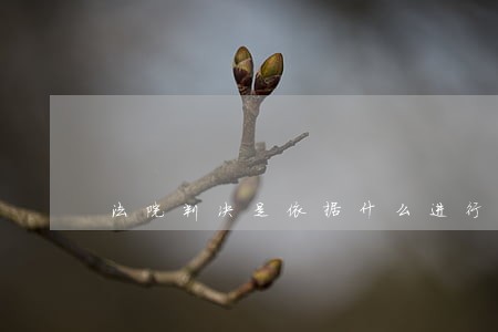 法院判决是依据什么进行判决 法院判决是依据什么进行判决