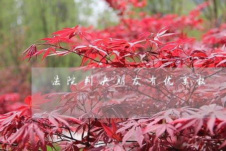 法院判决朋友有优享权 法院判决朋友有优享权