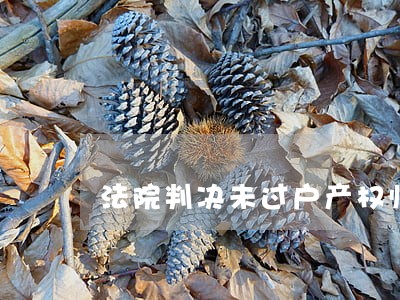 法院判决未过户产权归誰