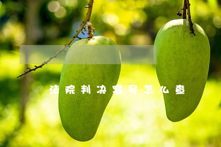 法院判决案号怎么查
