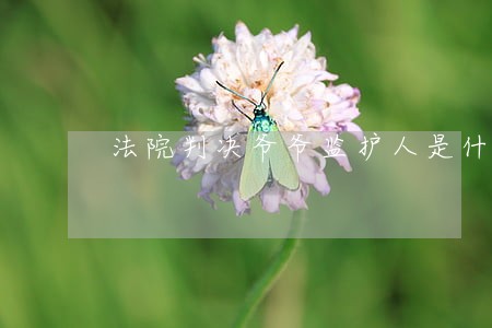 法院判决爷爷监护人是什么保护 法院判决爷爷监护人是什么保护