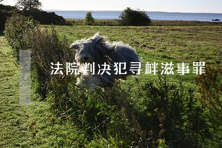 法院判决犯寻衅滋事罪 法院判决犯寻衅滋事罪