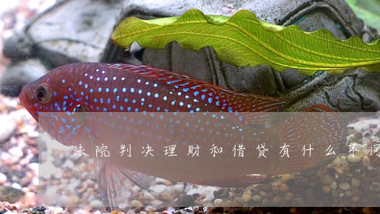 法院判决理财和借贷有什么不同