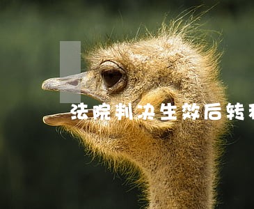 法院判决生效后转移资产怎么办 法院判决生效后转移资产怎么办