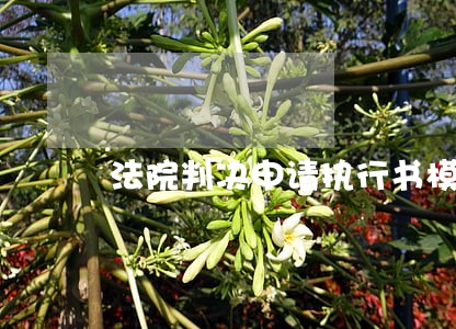 法院判决申请执行书模板 法院判决申请执行书模板