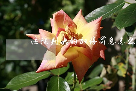 法院判决的加倍罚息怎么算 法院判决的加倍罚息怎么算