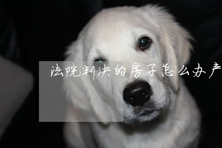 法院判决的房子怎么办产权 法院判决的房子怎么办产权