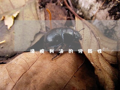 法院判决的终局性 法院判决的终局性