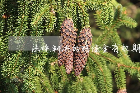 法院判决的赔偿金有效期