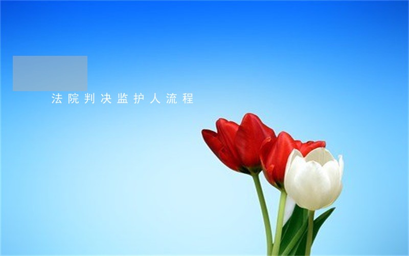 法院判决监护人流程