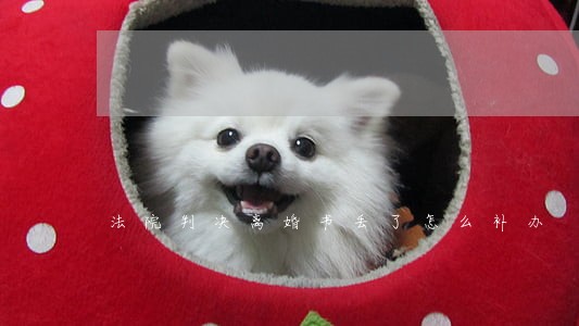 法院判决离婚书丢了怎么补办 法院判决离婚书丢了怎么补办