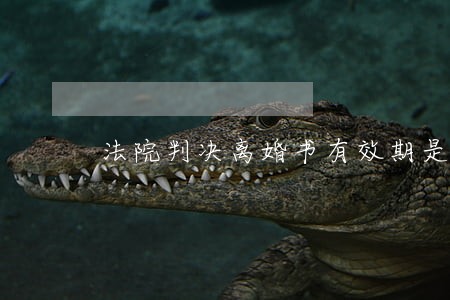 法院判决离婚书有效期是多久 法院判决离婚书有效期是多久