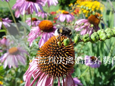 法院判决离婚抚养费自行承担 法院判决离婚抚养费自行承担