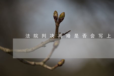 法院判决离婚是否会写上探视权 法院判决离婚是否会写上探视权
