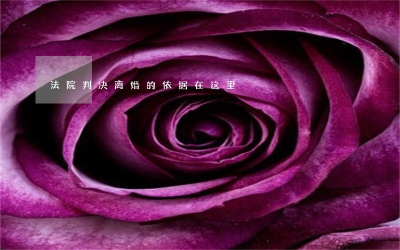 法院判决离婚的依据在这里