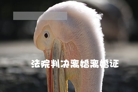 法院判决离婚离婚证 法院判决离婚离婚证