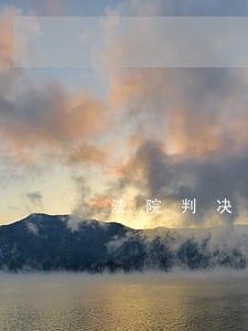 法院判决等于一空文 法院判决等于一空文