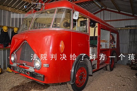 法院判决给了对方一个孩子
