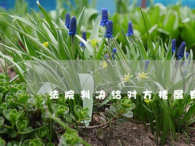 法院判决给对方楼层有使用权