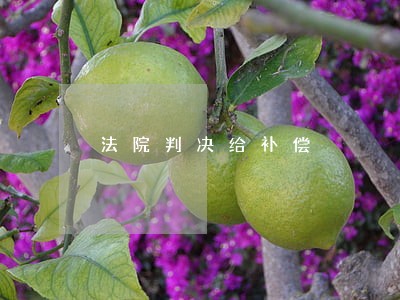 法院判决给补偿 法院判决给补偿
