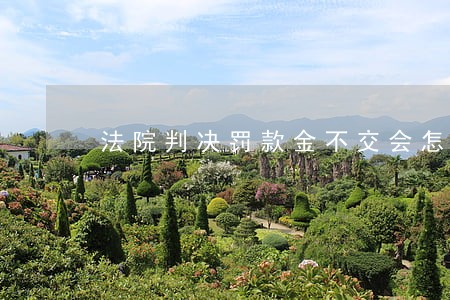法院判决罚款金不交会怎样 法院判决罚款金不交会怎样
