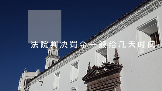 法院判决罚金一般给几天时间 法院判决罚金一般给几天时间