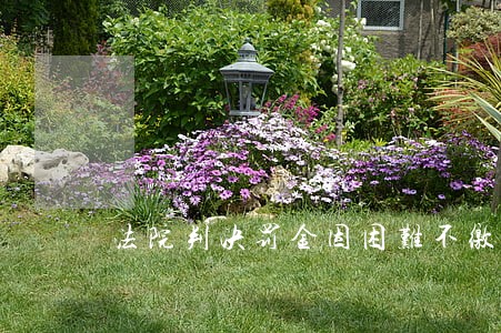 法院判决罚金因困难不缴后果 法院判决罚金因困难不缴后果