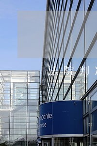 法院判决罚金逾期怎么办 法院判决罚金逾期怎么办