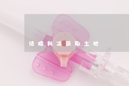 法院判决获取土地 法院判决获取土地